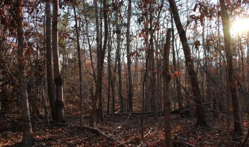 Photo #2 of LOOKOUT DR, SHENANDOAH, VA 3.1 acres