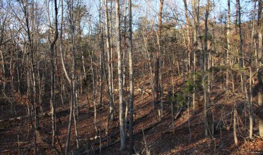 Photo #6 of LOOKOUT DR, SHENANDOAH, VA 3.1 acres
