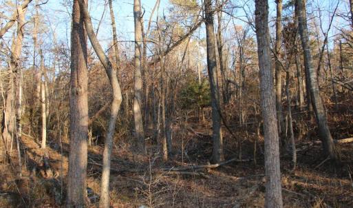 Photo #9 of LOOKOUT DR, SHENANDOAH, VA 3.1 acres