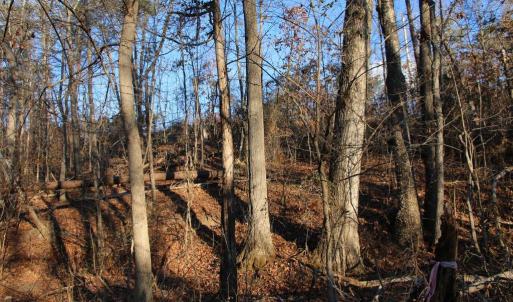 Photo #11 of LOOKOUT DR, SHENANDOAH, VA 3.1 acres