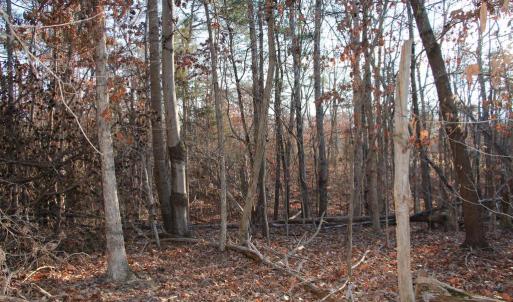 Photo #12 of LOOKOUT DR, SHENANDOAH, VA 3.1 acres