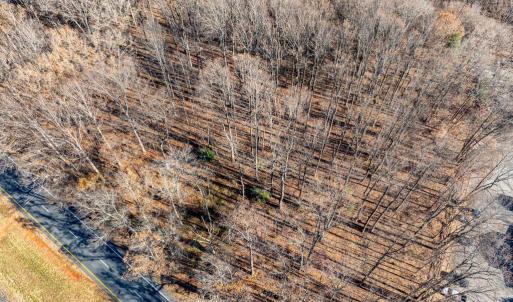 Photo #10 of 55 SEMINOLE TRAIL N, SHELBY, VA 2.1 acres