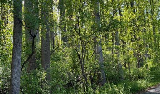 Photo #1 of CARLETANS LN, THE PLAINS, VA 10.0 acres