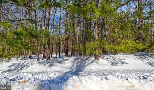 Photo #59 of TRAVELLERS, MINERAL, VA 2.3 acres