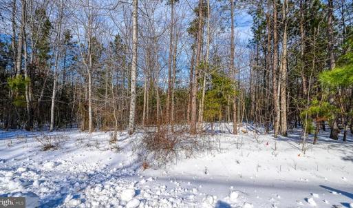 Photo #63 of TRAVELLERS, MINERAL, VA 2.3 acres