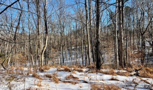 Photo #13 of MT ZION CHURCH RD, MADISON, VA 6.0 acres