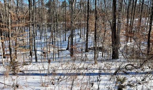 Photo #14 of MT ZION CHURCH RD, MADISON, VA 6.0 acres