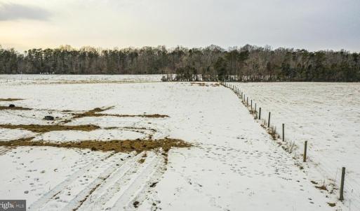 Photo #19 of BIBB STORE RD, LOUISA, VA 8.6 acres