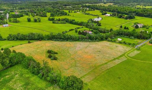 Photo #5 of WINDEMEER LANE, AMISSVILLE, VA 10.0 acres
