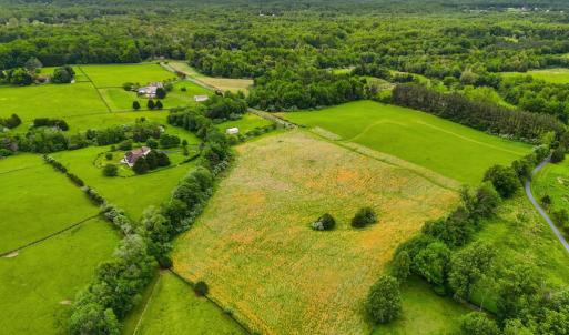 Photo #1 of WINDEMEER LANE, AMISSVILLE, VA 10.0 acres