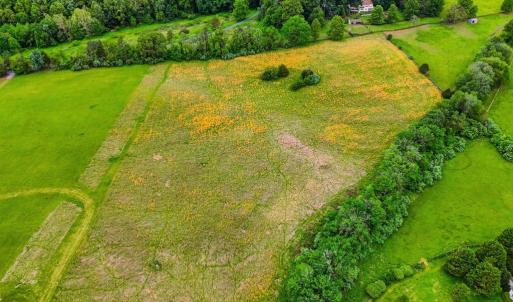 Photo #12 of WINDEMEER LANE, AMISSVILLE, VA 10.0 acres