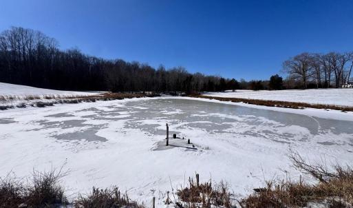 Photo #11 of 22 AEOLIAN WAY, BUMPASS, VA 10.0 acres