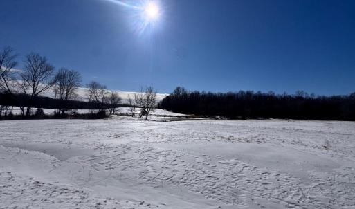 Photo #9 of 22 AEOLIAN WAY, BUMPASS, VA 10.0 acres