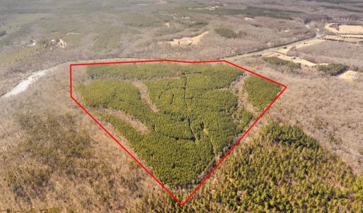 Photo #2 of OFF SNAKE CASTLE ROAD, SUMERDUCK, VA 191.5 acres