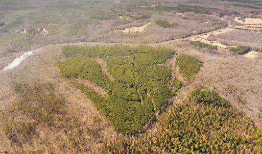 Photo #4 of OFF SNAKE CASTLE ROAD, SUMERDUCK, VA 191.5 acres