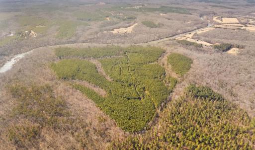 Photo #5 of OFF SNAKE CASTLE ROAD, SUMERDUCK, VA 191.5 acres