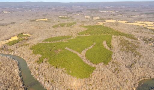 Photo #6 of OFF SNAKE CASTLE ROAD, SUMERDUCK, VA 191.5 acres