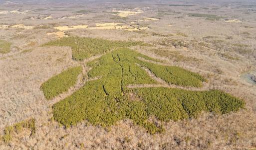 Photo #7 of OFF SNAKE CASTLE ROAD, SUMERDUCK, VA 191.5 acres