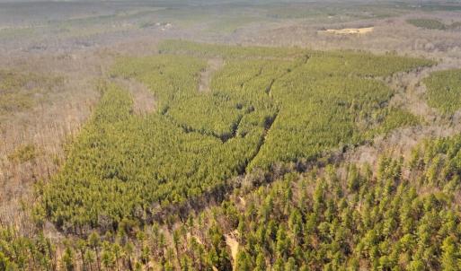 Photo #8 of OFF SNAKE CASTLE ROAD, SUMERDUCK, VA 191.5 acres