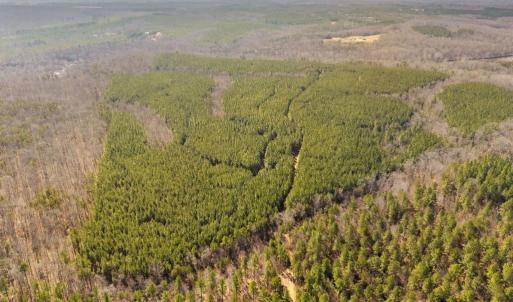 Photo #9 of OFF SNAKE CASTLE ROAD, SUMERDUCK, VA 191.5 acres