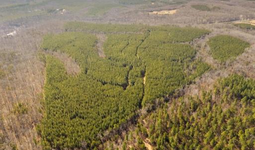 Photo #10 of OFF SNAKE CASTLE ROAD, SUMERDUCK, VA 191.5 acres