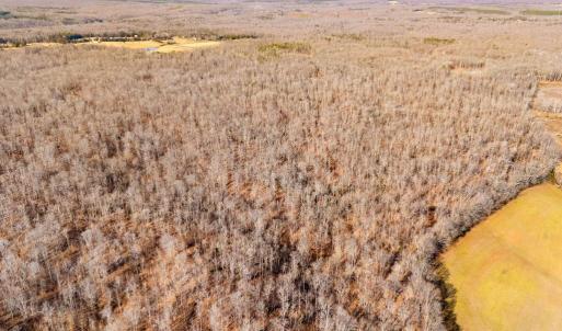 Photo #32 of SPRING MILL ROAD, GOLDVEIN, VA 404.7 acres