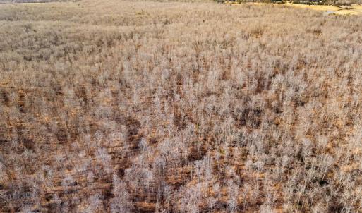 Photo #33 of SPRING MILL ROAD, GOLDVEIN, VA 404.7 acres