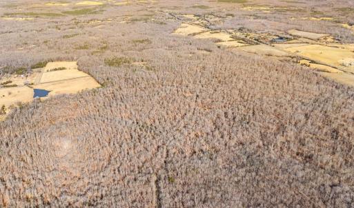 Photo #9 of SPRING MILL ROAD, GOLDVEIN, VA 404.7 acres