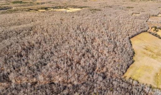 Photo #13 of SPRING MILL ROAD, GOLDVEIN, VA 404.7 acres