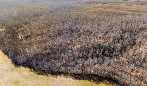 Photo #16 of SPRING MILL ROAD, GOLDVEIN, VA 404.7 acres