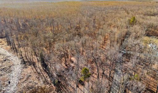 Photo #26 of SPRING MILL ROAD, GOLDVEIN, VA 404.7 acres