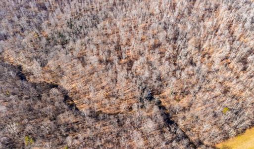 Photo #31 of SPRING MILL ROAD, GOLDVEIN, VA 404.7 acres