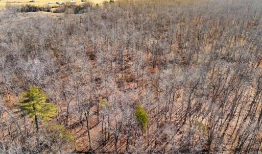 Photo #34 of SPRING MILL ROAD, GOLDVEIN, VA 404.7 acres