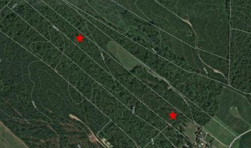 Photo #1 of 8219 MARYE RD, PARTLOW, VA 21.6 acres