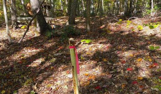 Photo #31 of CASTLETON VIEW ROAD, CASTLETON, VA 25.2 acres