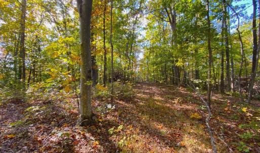 Photo #18 of CASTLETON VIEW ROAD, CASTLETON, VA 25.2 acres