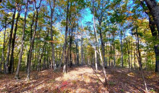 Photo #20 of CASTLETON VIEW ROAD, CASTLETON, VA 25.2 acres