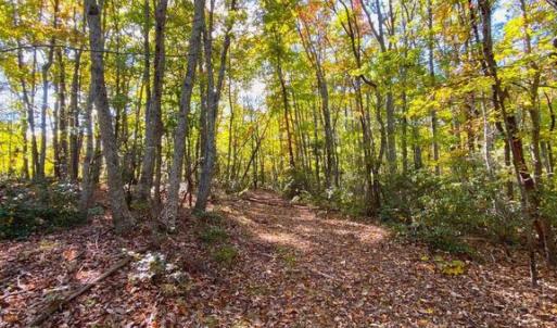 Photo #21 of CASTLETON VIEW ROAD, CASTLETON, VA 25.2 acres