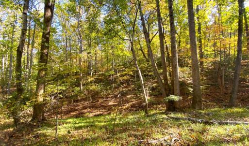 Photo #30 of CASTLETON VIEW ROAD, CASTLETON, VA 25.2 acres