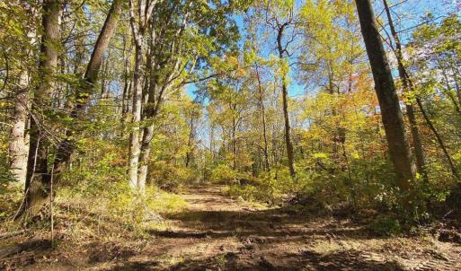 Photo #16 of CASTLETON VIEW ROAD, CASTLETON, VA 25.2 acres