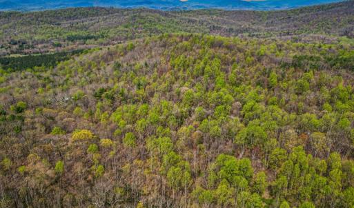 Photo #1 of CASTLETON VIEW ROAD, CASTLETON, VA 25.2 acres