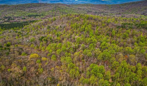 Photo #2 of CASTLETON VIEW ROAD, CASTLETON, VA 25.2 acres