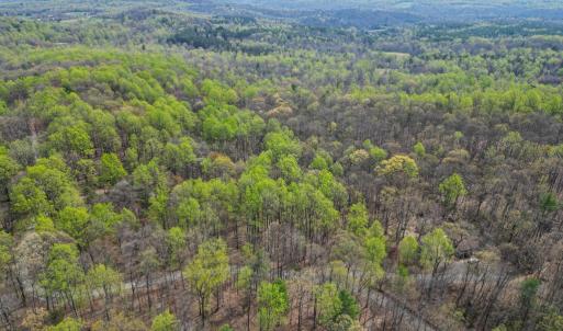 Photo #3 of CASTLETON VIEW ROAD, CASTLETON, VA 25.2 acres