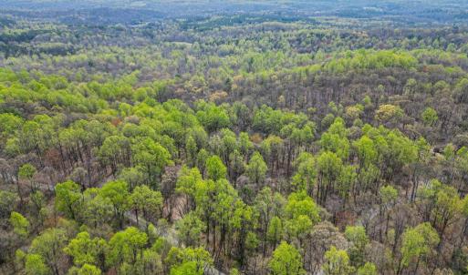 Photo #5 of CASTLETON VIEW ROAD, CASTLETON, VA 25.2 acres