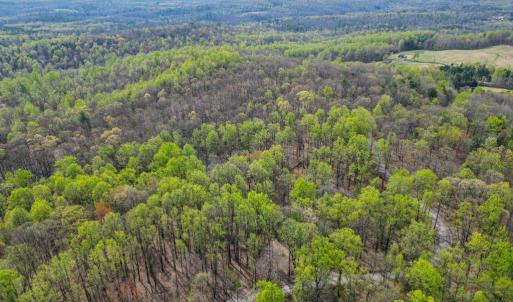 Photo #7 of CASTLETON VIEW ROAD, CASTLETON, VA 25.2 acres