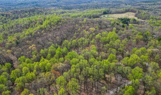 Photo #8 of CASTLETON VIEW ROAD, CASTLETON, VA 25.2 acres