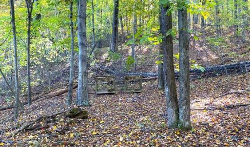 Photo #25 of CASTLETON VIEW ROAD, CASTLETON, VA 25.2 acres