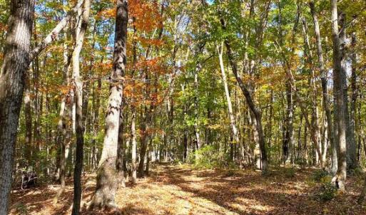 Photo #22 of CASTLETON VIEW ROAD, CASTLETON, VA 25.2 acres