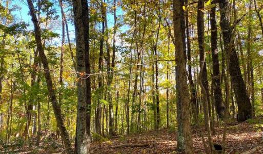 Photo #24 of CASTLETON VIEW ROAD, CASTLETON, VA 25.2 acres
