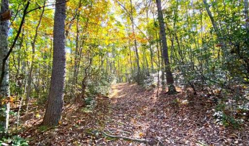 Photo #19 of CASTLETON VIEW ROAD, CASTLETON, VA 25.2 acres